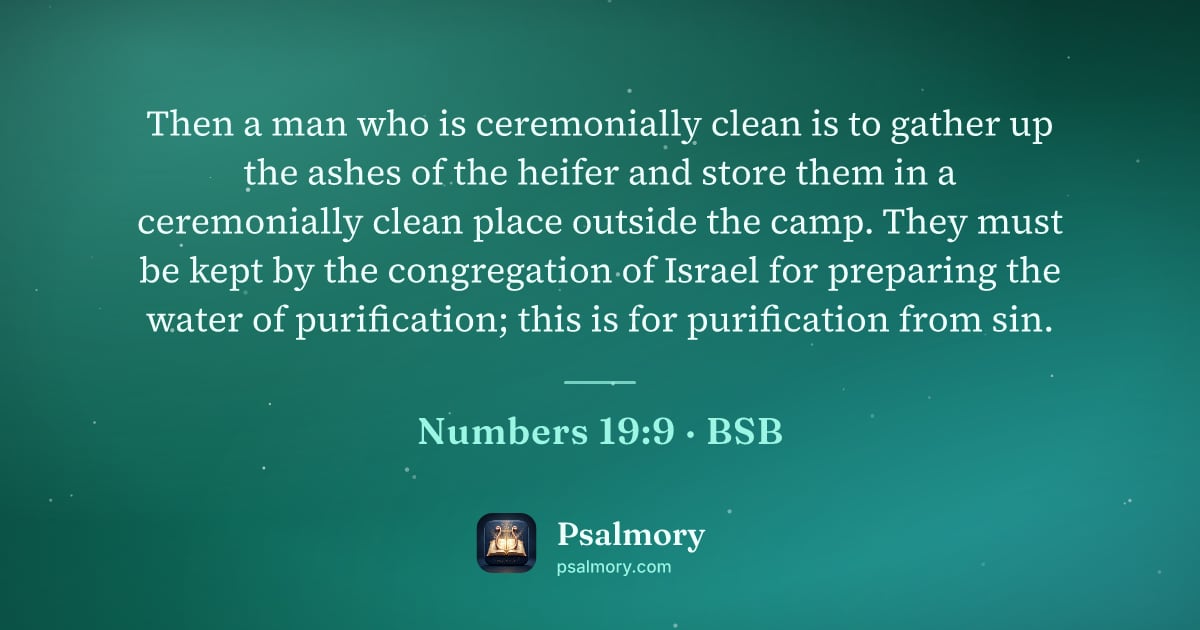 Numbers 19:9 verse artwork: Then a man who is ceremonially clean is to gather up the ashes of the heifer and store…