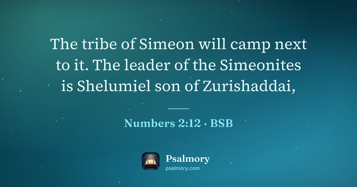 Numbers 2:12 verse artwork: The tribe of Simeon will camp next to it. The leader of the Simeonites is Shelumiel son…