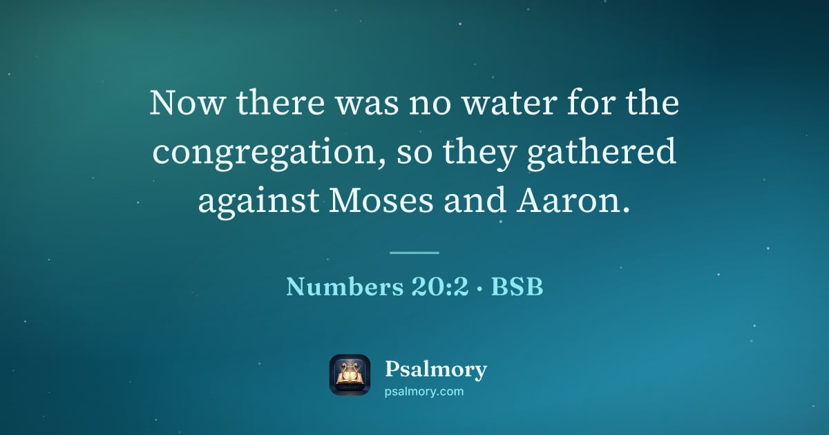Numbers 20:2 verse artwork: Now there was no water for the congregation, so they gathered against Moses and Aaron.