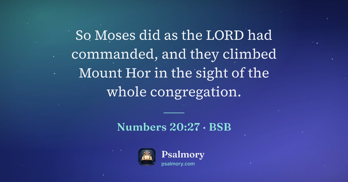 Numbers 20:27 verse artwork: So Moses did as the LORD had commanded, and they climbed Mount Hor in the sight of the…