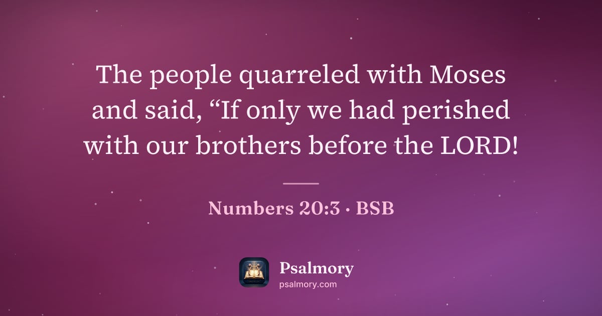 Numbers 20:3 verse artwork: The people quarreled with Moses and said, “If only we had perished with our brothers…