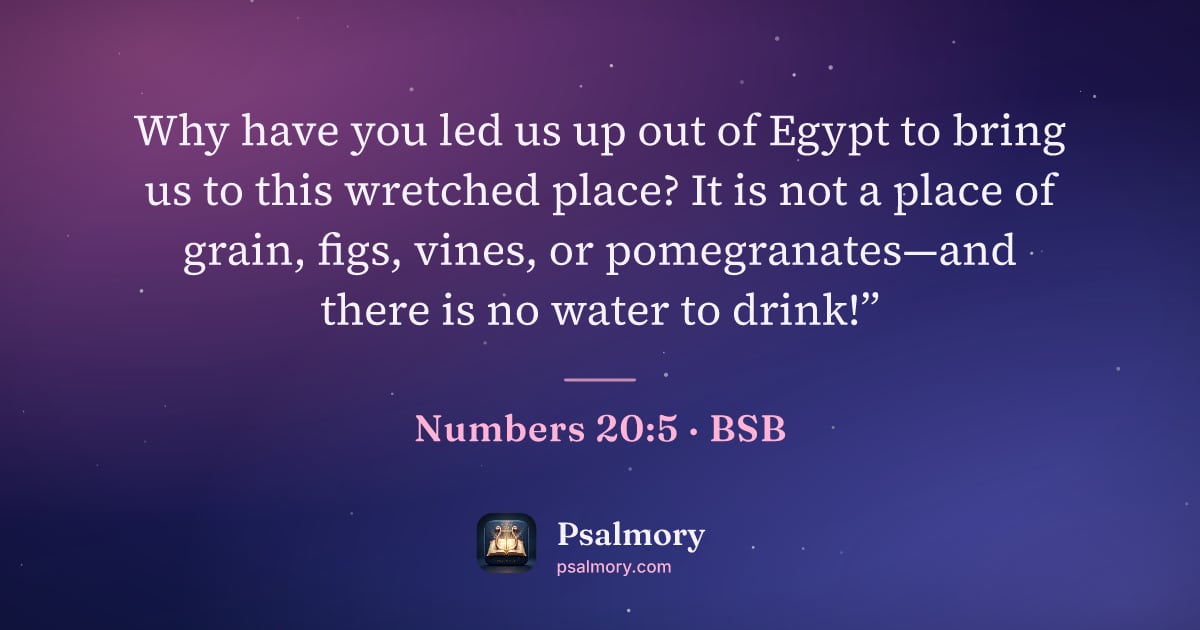 Numbers 20:5 verse artwork: Why have you led us up out of Egypt to bring us to this wretched place? It is not a…