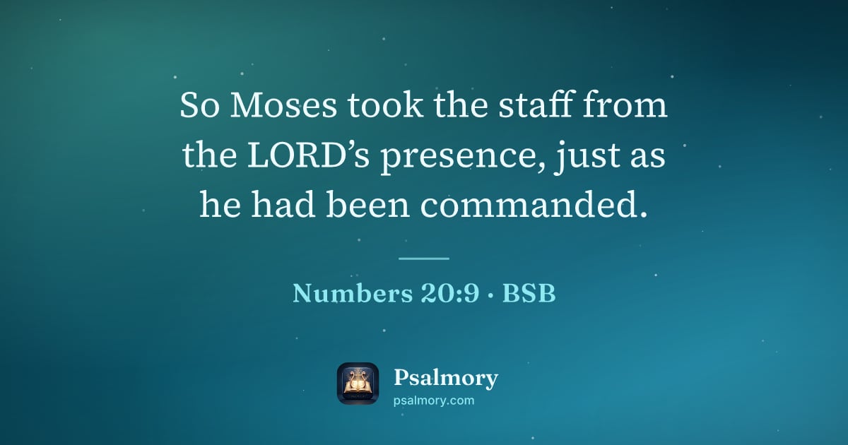 Numbers 20:9 verse artwork: So Moses took the staff from the LORD’s presence, just as he had been commanded.