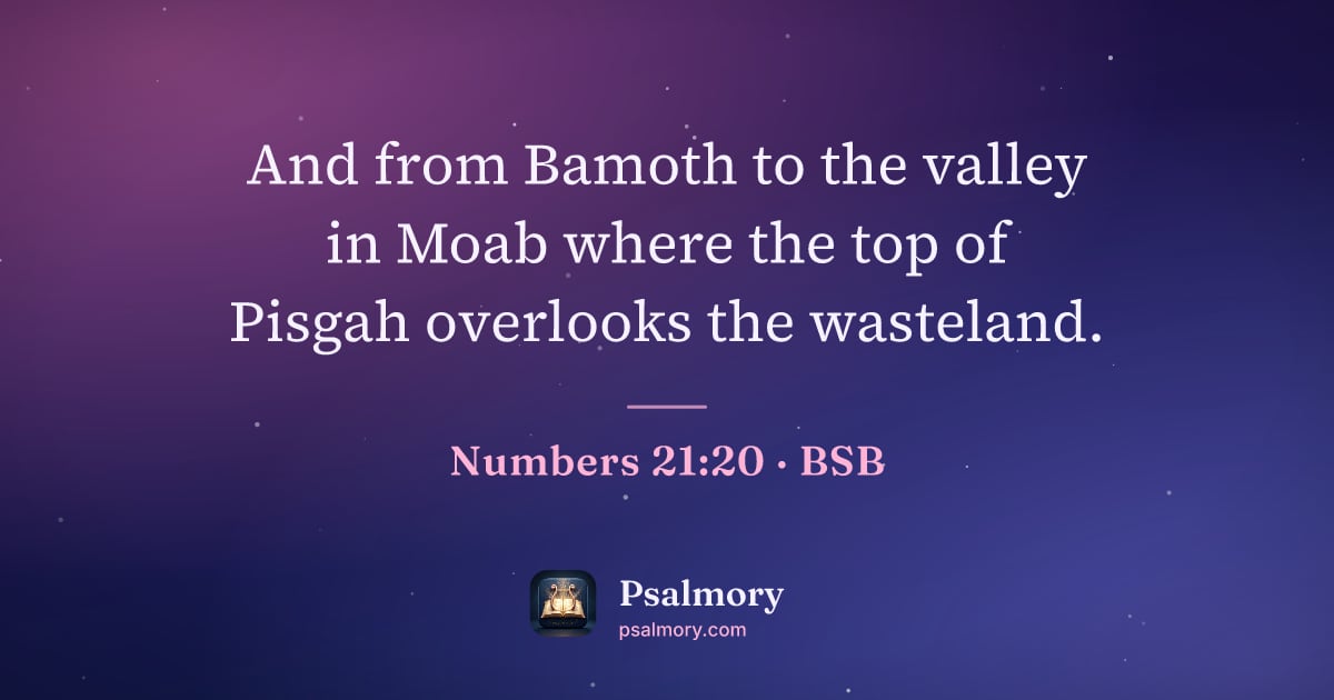 Numbers 21:20 verse artwork: And from Bamoth to the valley in Moab where the top of Pisgah overlooks the wasteland.