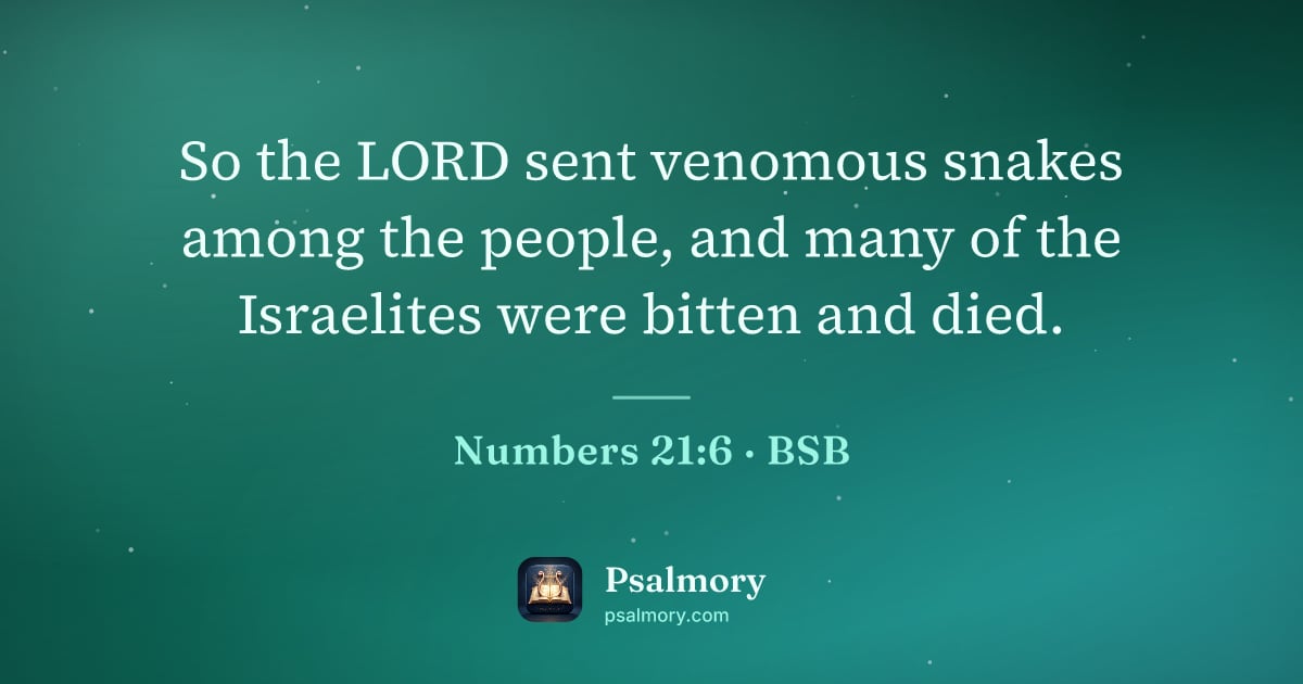Numbers 21:6 verse artwork: So the LORD sent venomous snakes among the people, and many of the Israelites were…