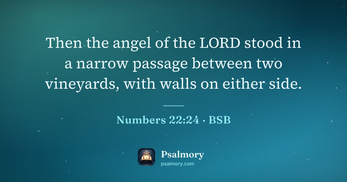 Numbers 22:24 verse artwork: Then the angel of the LORD stood in a narrow passage between two vineyards, with walls…