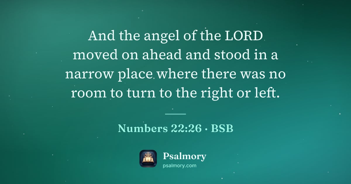 Numbers 22:26 verse artwork: And the angel of the LORD moved on ahead and stood in a narrow place where there was no…