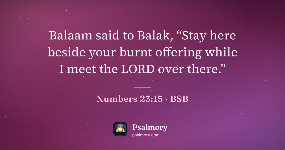 Numbers 23:15 verse artwork: Balaam said to Balak, “Stay here beside your burnt offering while I meet the LORD over…