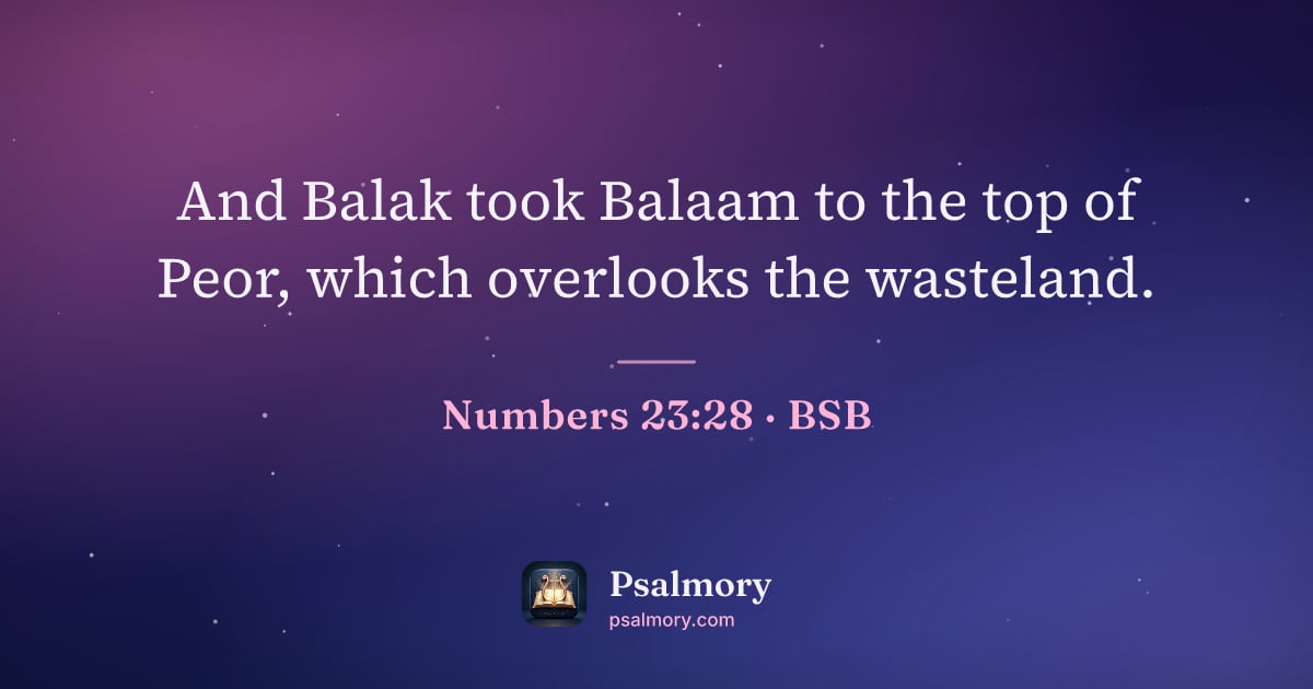 Numbers 23:28 verse artwork: And Balak took Balaam to the top of Peor, which overlooks the wasteland.