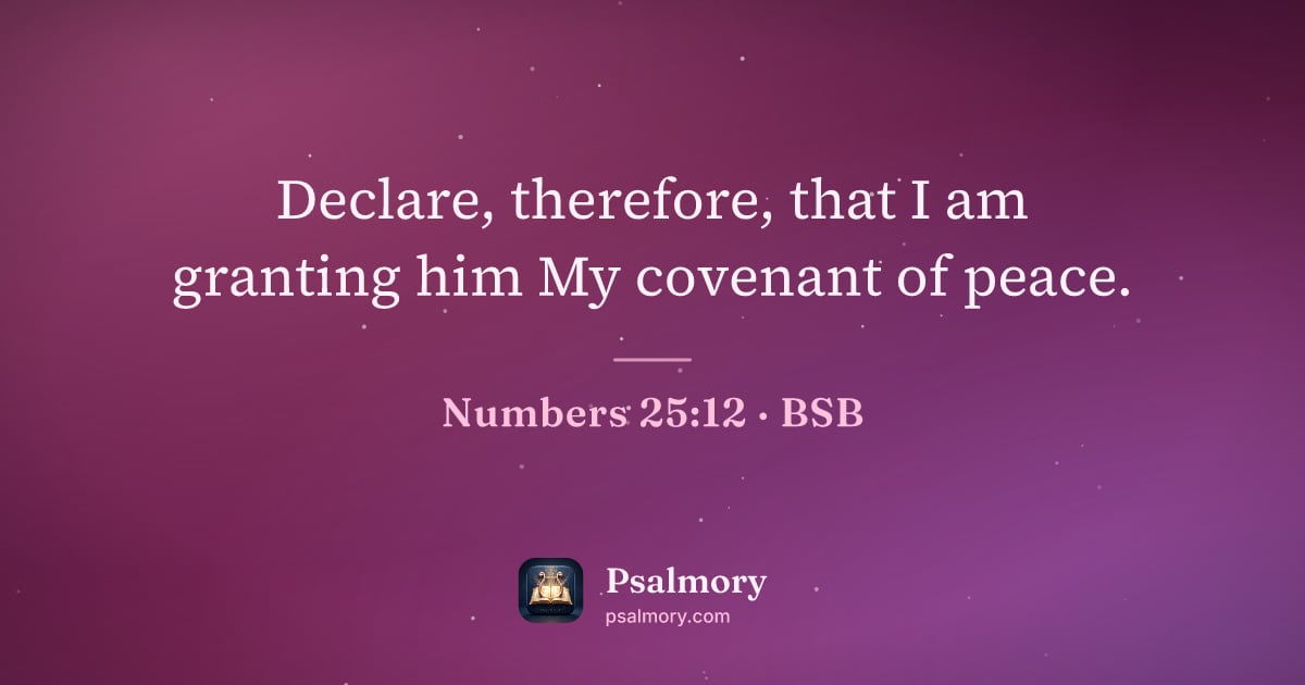 Numbers 25:12 verse artwork: Declare, therefore, that I am granting him My covenant of peace.