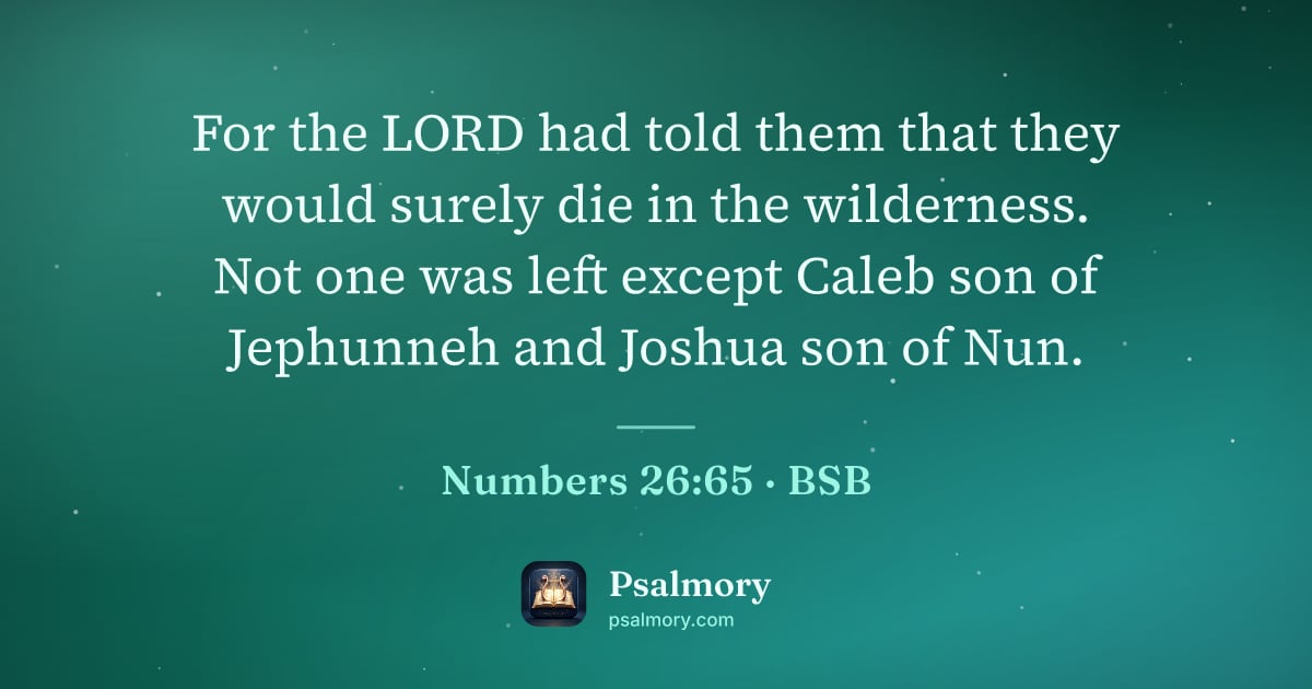 Numbers 26:65 verse artwork: For the LORD had told them that they would surely die in the wilderness. Not one was…