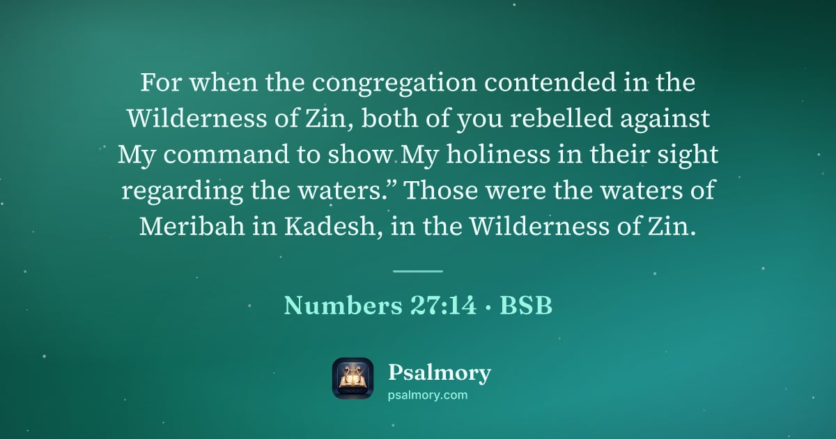 Numbers 27:14 verse artwork: For when the congregation contended in the Wilderness of Zin, both of you rebelled…