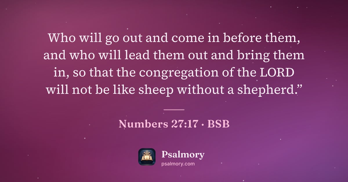 Numbers 27:17 verse artwork: Who will go out and come in before them, and who will lead them out and bring them in,…