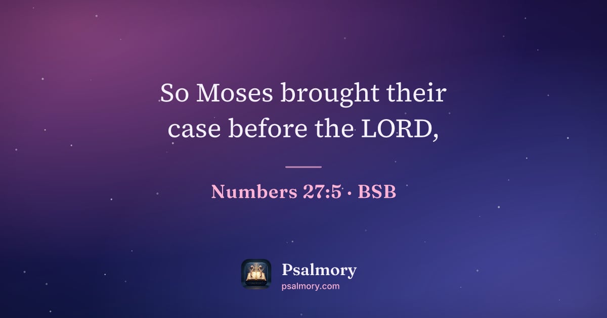 Numbers 27:5 verse artwork: So Moses brought their case before the LORD,