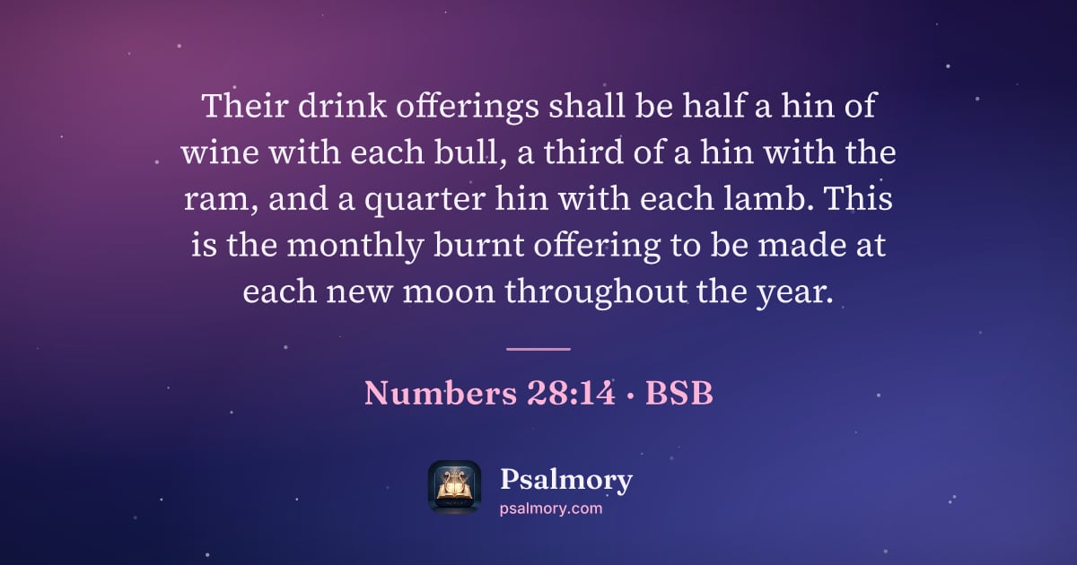 Numbers 28:14 verse artwork: Their drink offerings shall be half a hin of wine with each bull, a third of a hin with…