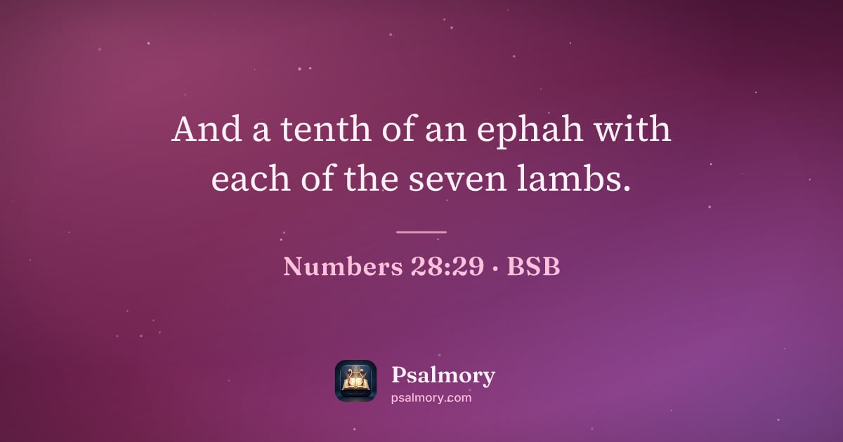 Numbers 28:29 verse artwork: And a tenth of an ephah with each of the seven lambs.