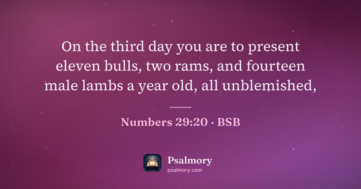 Numbers 29:20 verse artwork: On the third day you are to present eleven bulls, two rams, and fourteen male lambs a…