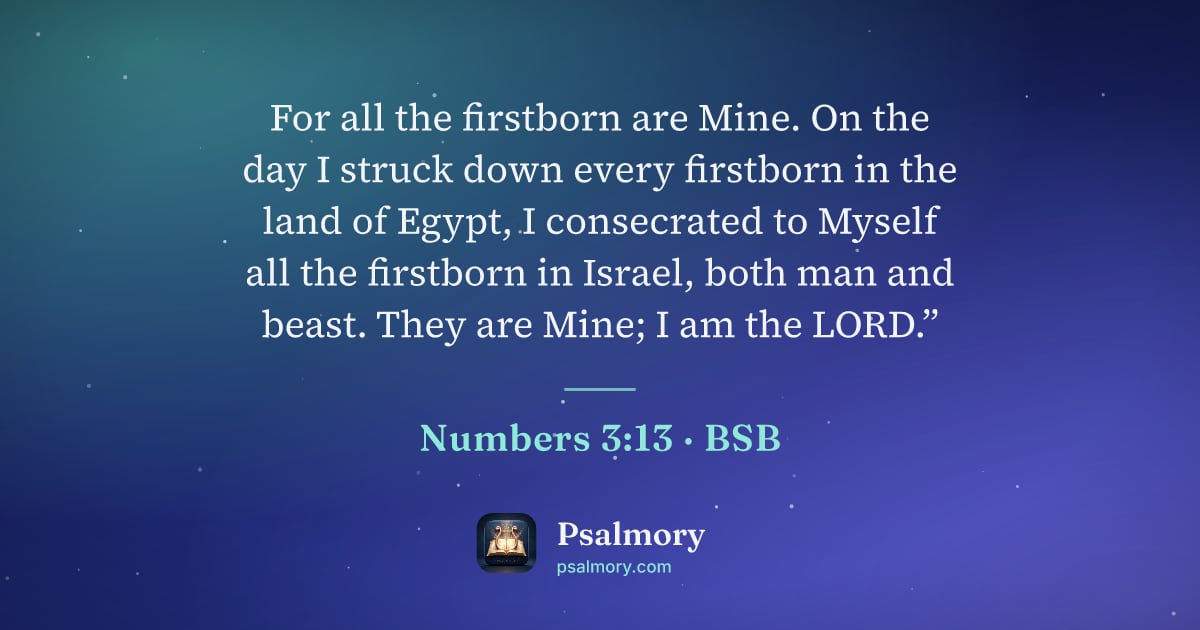 Numbers 3:13 verse artwork: For all the firstborn are Mine. On the day I struck down every firstborn in the land of…