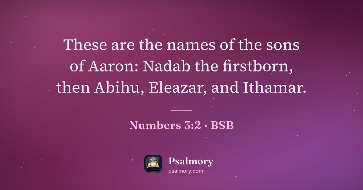 Numbers 3:2 verse artwork: These are the names of the sons of Aaron: Nadab the firstborn, then Abihu, Eleazar, and…
