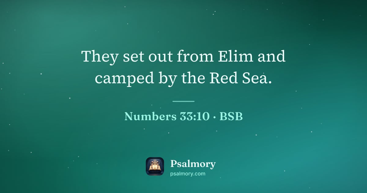 Numbers 33:10 verse artwork: They set out from Elim and camped by the Red Sea.