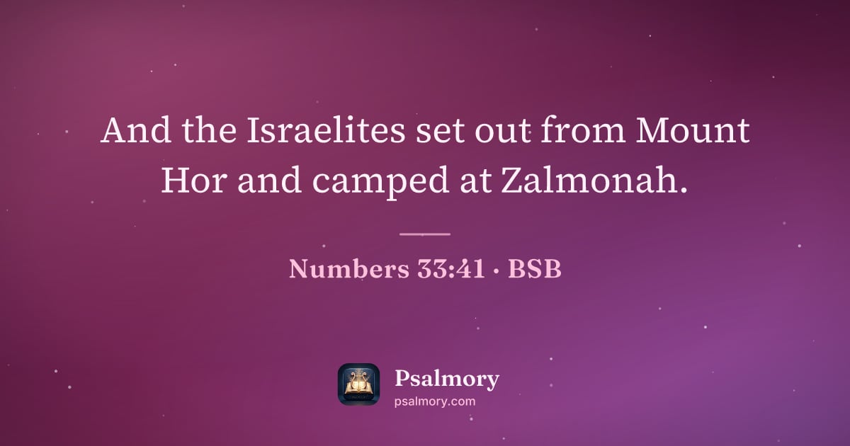 Numbers 33:41 verse artwork: And the Israelites set out from Mount Hor and camped at Zalmonah.