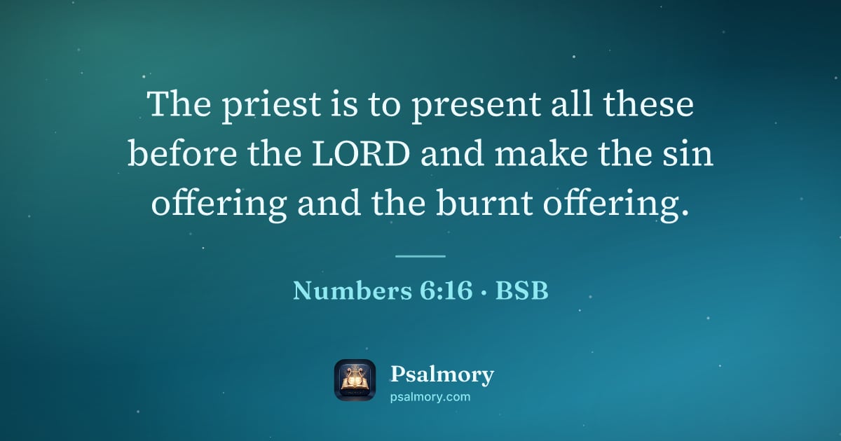 Numbers 6:16 verse artwork: The priest is to present all these before the LORD and make the sin offering and the…