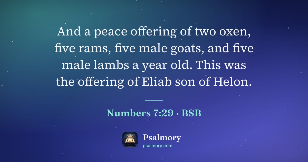 Numbers 7:29 verse artwork: And a peace offering of two oxen, five rams, five male goats, and five male lambs a year…