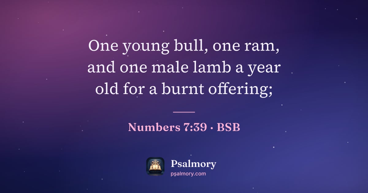 Numbers 7:39 verse artwork: One young bull, one ram, and one male lamb a year old for a burnt offering;