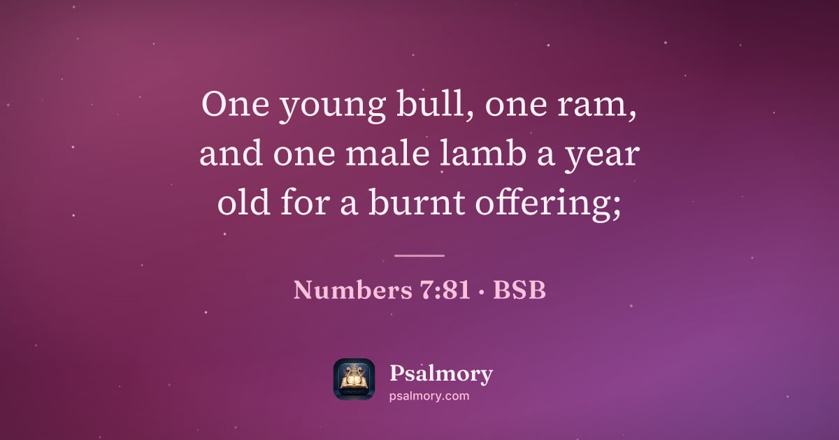 Numbers 7:81 verse artwork: One young bull, one ram, and one male lamb a year old for a burnt offering;