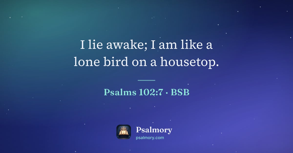 Psalm 102:7 verse artwork: I lie awake; I am like a lone bird on a housetop.
