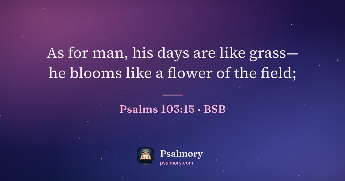 Psalm 103:15 verse artwork: As for man, his days are like grass— he blooms like a flower of the field;