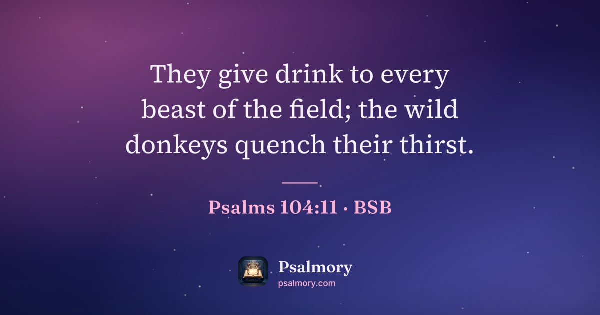 Psalm 104:11 verse artwork: They give drink to every beast of the field; the wild donkeys quench their thirst.