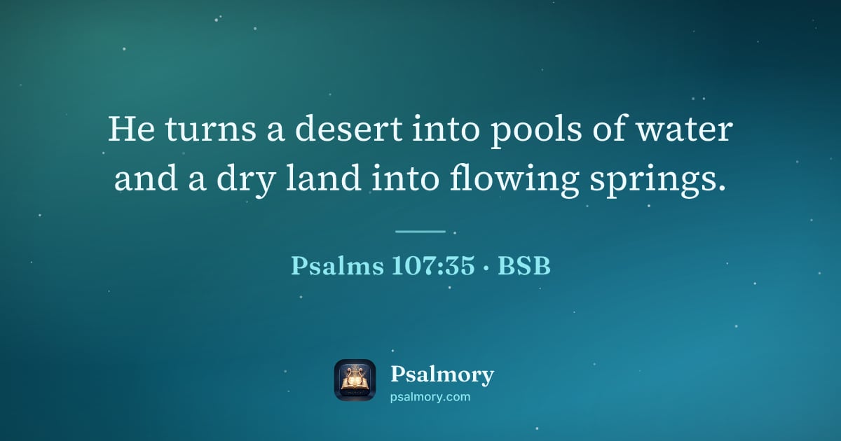Psalm 107:35 verse artwork: He turns a desert into pools of water and a dry land into flowing springs.