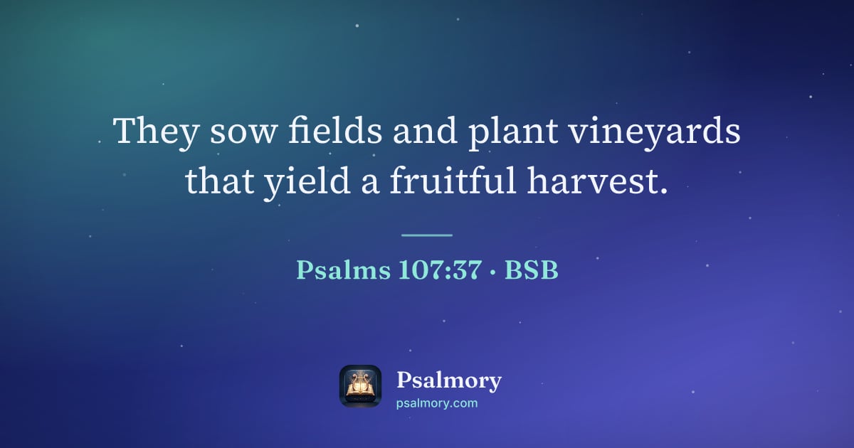 Psalm 107:37 verse artwork: They sow fields and plant vineyards that yield a fruitful harvest.