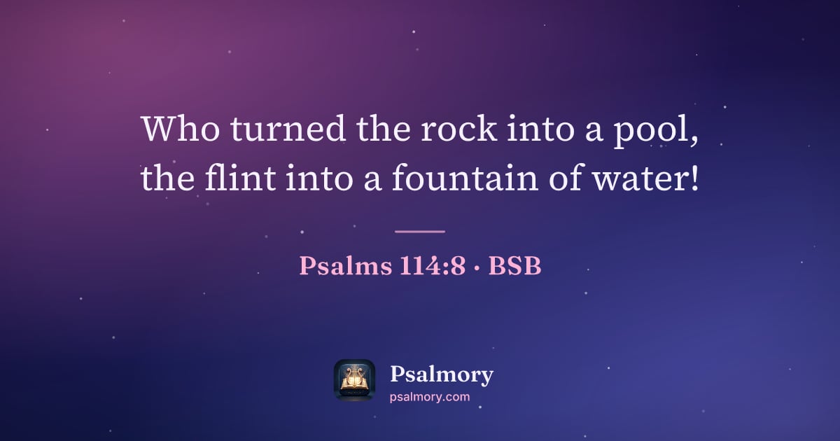 Psalm 114:8 verse artwork: Who turned the rock into a pool, the flint into a fountain of water!