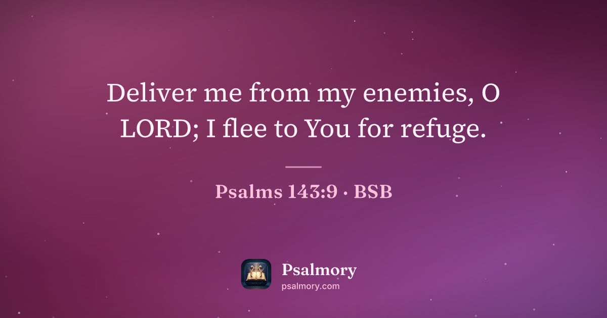 Psalm 143:9 verse artwork: Deliver me from my enemies, O LORD; I flee to You for refuge.