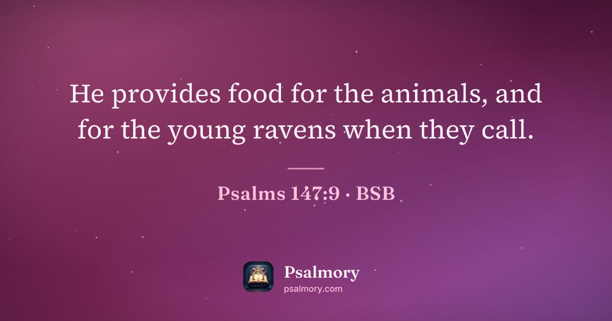 Psalm 147:9 verse artwork: He provides food for the animals, and for the young ravens when they call.