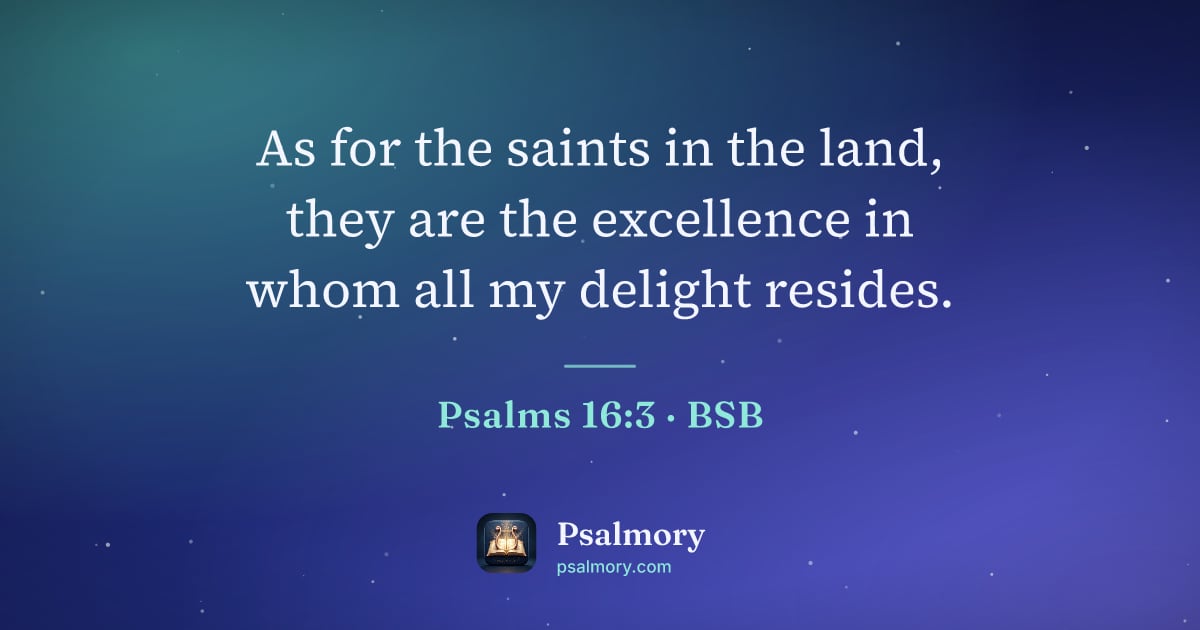 Psalm 16:3 verse artwork: As for the saints in the land, they are the excellence in whom all my delight resides.