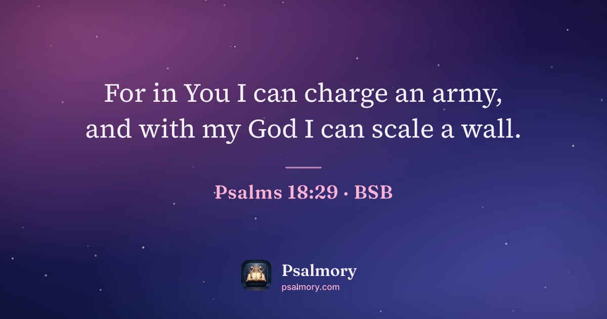 Psalm 18:29 verse artwork: For in You I can charge an army, and with my God I can scale a wall.