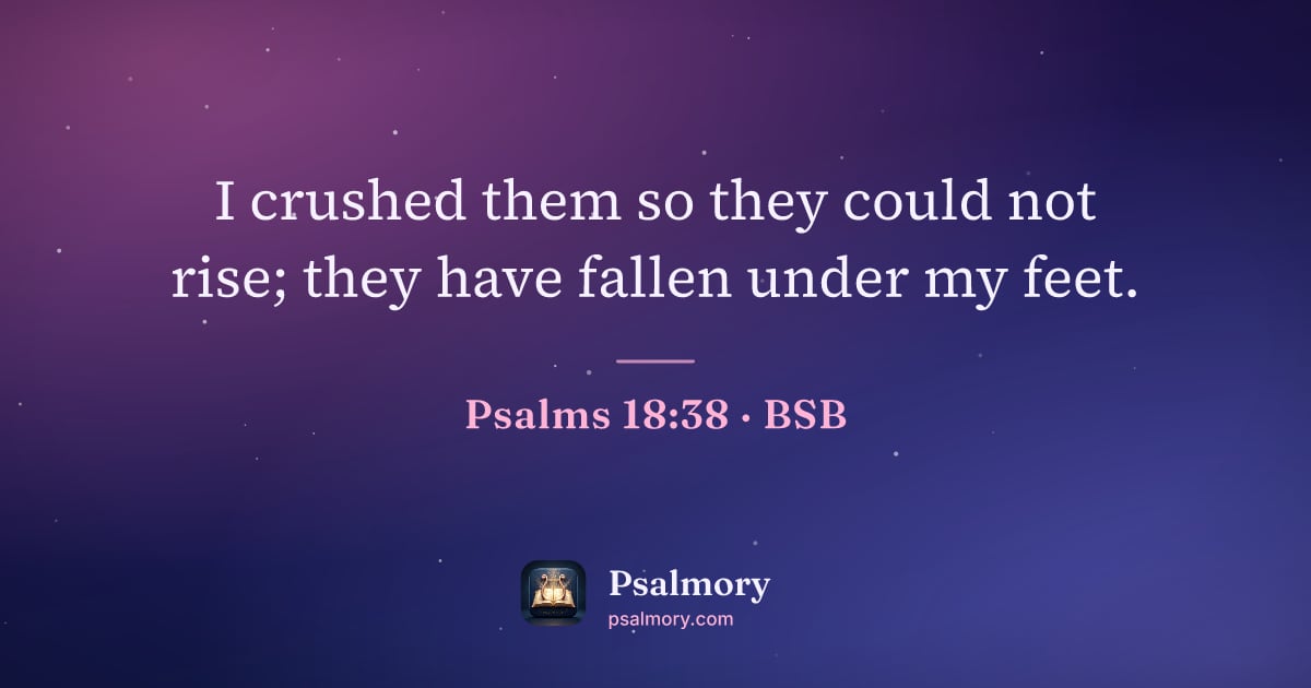 Psalm 18:38 verse artwork: I crushed them so they could not rise; they have fallen under my feet.