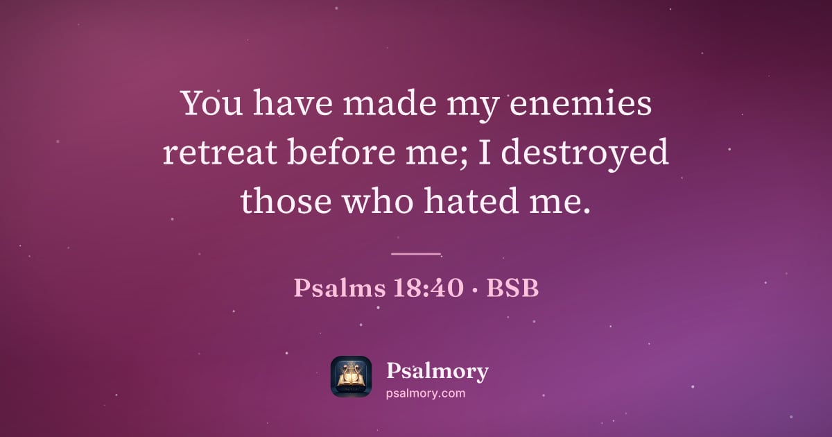 Psalm 18:40 verse artwork: You have made my enemies retreat before me; I destroyed those who hated me.