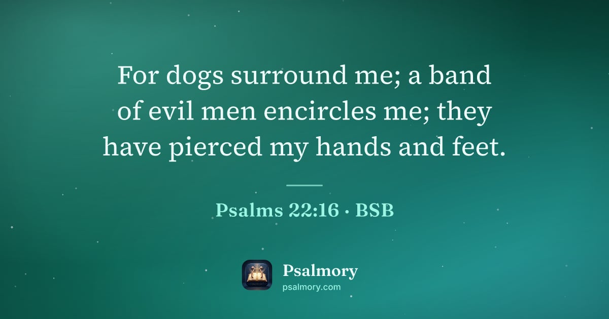 Psalm 22:16 verse artwork: For dogs surround me; a band of evil men encircles me; they have pierced my hands and…