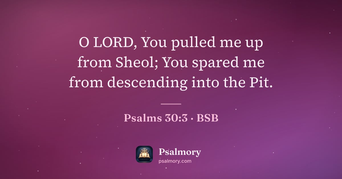 Psalm 30:3 verse artwork: O LORD, You pulled me up from Sheol; You spared me from descending into the Pit.
