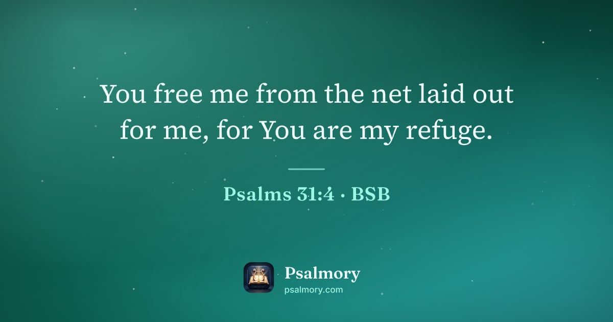 Psalm 31:4 verse artwork: You free me from the net laid out for me, for You are my refuge.