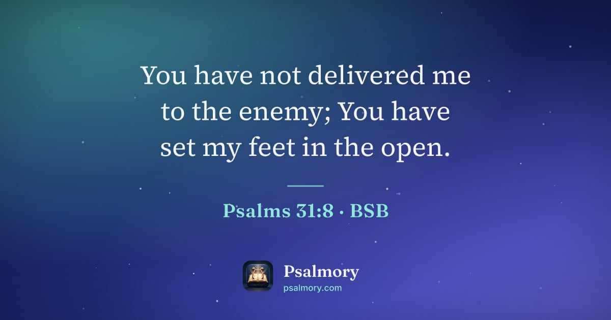 Psalm 31:8 verse artwork: You have not delivered me to the enemy; You have set my feet in the open.
