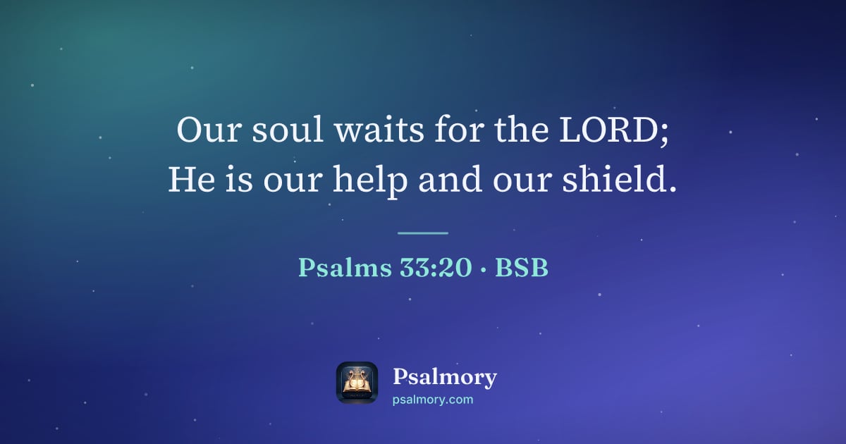 Psalm 33:20 verse artwork: Our soul waits for the LORD; He is our help and our shield.