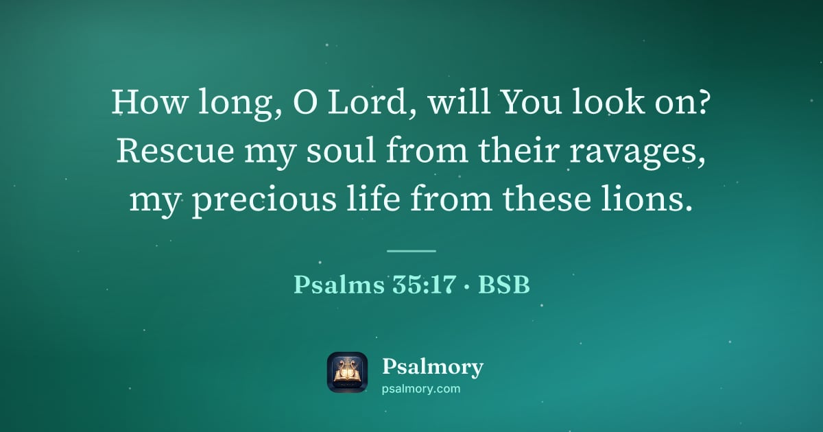 Psalm 35:17 verse artwork: How long, O Lord, will You look on? Rescue my soul from their ravages, my precious life…