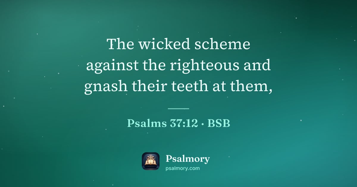 Psalm 37:12 verse artwork: The wicked scheme against the righteous and gnash their teeth at them,