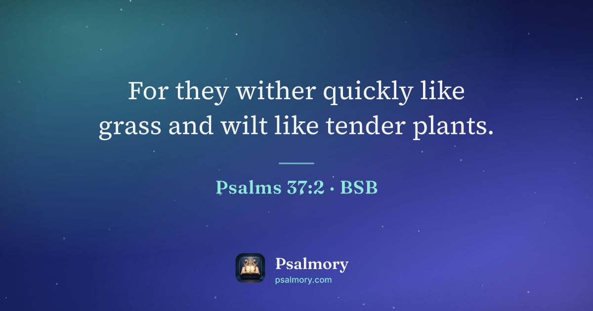 Psalm 37:2 verse artwork: For they wither quickly like grass and wilt like tender plants.