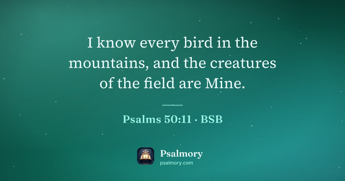 Psalm 50:11 verse artwork: I know every bird in the mountains, and the creatures of the field are Mine.